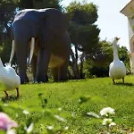 Hotel Grecotel Luxme Oasis At Riviera Olympia & Aqua Park Loutra Killinis