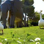 Grecotel Luxme Oasis At Riviera Olympia & Aqua Park Hotel